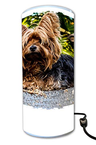 Lampe cylindrique pour chien Yorkshire Terrier