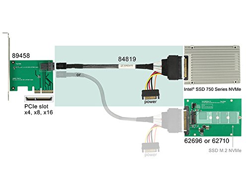 DeLOCK 84819 Carte et Adaptateur interface interne SSD U.2 SATA - 3