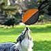 Baoblaze Dog Tug Ball, Dog Ball Toy Portable Tear Resistant Comfortable Bite Training Interactive Play for Game Chasing Solo Amusement, Black Orange