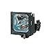 Produktbild Panasonic ET-LAD55W Lampenmodul (300 Watt, bis 2000 Stunden) für PT-D5500E Projektor