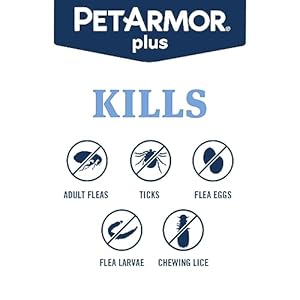 PetArmor Plus Flea and Tick Prevention for Dogs, Dog Flea and Tick Treatment, 12 Doses, Waterproof Topical, Fast Acting, Medium Dogs (23-44 lbs)