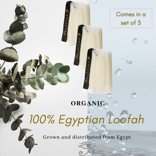Haloofah - Pure Egyptian Loofah - Premium All-Natural & Organic Exfoliating Sponge For Softer, Smoother Skin - 3 Count (1 Pack) With Free Bag #TOP1