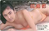 テレホンカード テレカ 田島都 大陸書房 50度数
