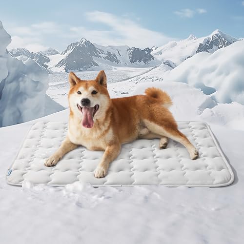 Bedsure Cooling Mat for Large Dogs – 35x23 Thin Washable Cooling Pet Pad for Puppy, QMAX>0.5, Portable Kennel Puppy Bed for Summer, Non-Slip Summer Crate Pad for Big Dog Up to 50 lbs