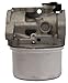 Briggs & Stratton 498170 Carburetor