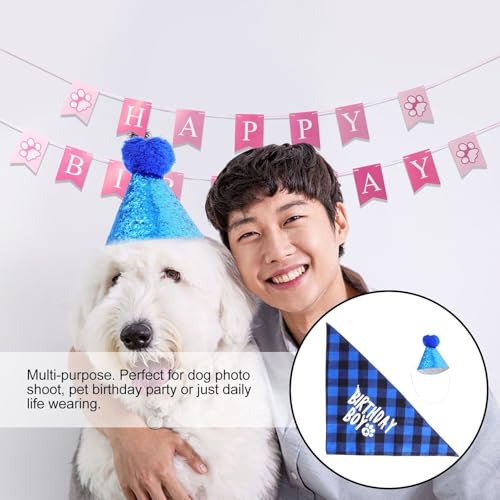 Sombrero y bandana azul para perro cumpleaños miniatura 3
