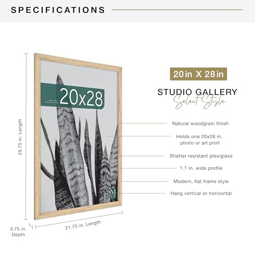 MCS Studio Gallery 20x28 Poster Frame Natural Woodgrain, Vertical & Horizontal Wall Hanging Large Picture Frame for Photos, Posters & Art Prints (1-Pack)