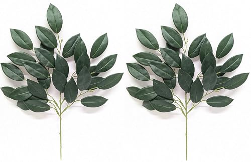 Ղ낾   TJL  1 2{ _ _I 4571573920249