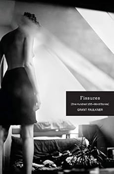 Paperback Fissures: One Hundred 100-Word Stories Book