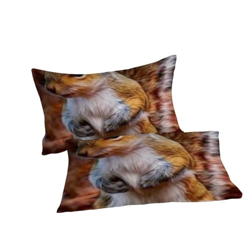 Housse de couette imprimé 3D écureuils en microfibre haute densité