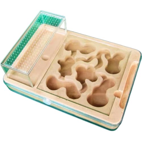 Eculcki Ȃ P[X Ȃ ALbgAZbg apP[X