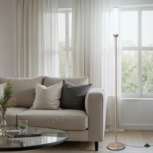 Image of Ambimall LED Floor Lamp with Remote Control, 65 inch Standing lamp with Stepless Adjustable 3000K-6500K Colors & 30-100% Brightness, Foot Switch(Champagne Gold) (Pack of 2)