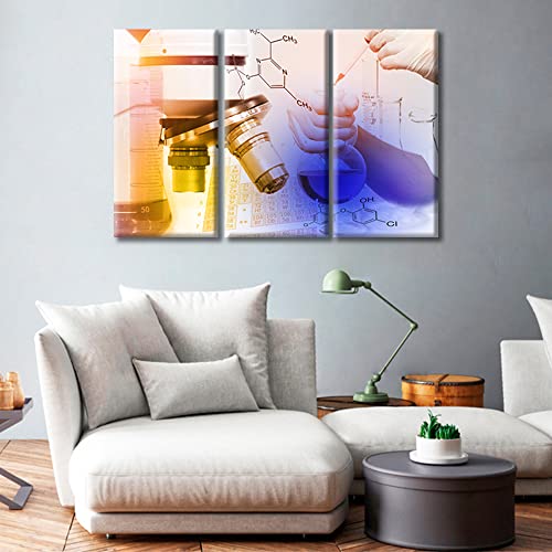 Image of TUMOVO Canvas Wall Art Medical Examination Poster Canvas Paintings Wall Art 3 Panel Medical Wall Decor for Living Room, Bedroom, Bathroom, Office. Framed Ready to Hang (36 inch Wx24 H)