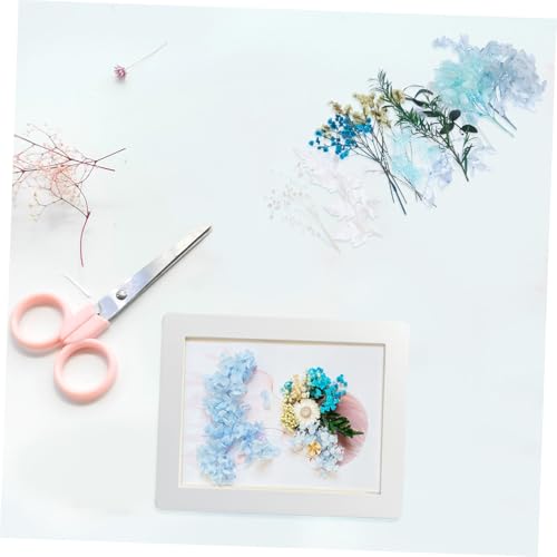 Material de Flores Secas Naturales para Manualidades DIY miniatura 5