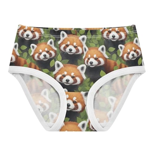 Joisal Print Toddler Underwear Floral 2t Cotton Panties Little Girl Adorable Brown Raccoon Faces Briefs Underpants