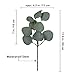 Supla 10 Pcs Fake Eucalyptus Leaves Stems Bulk Artificial Silver Dollar Plant in Grey Green 11.8