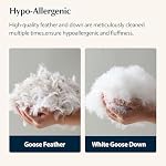 Pacific Coast Bed Pillow, Hotel Collection Goose Feather and Down Firm Pillow for Sleeping, 3-Chamber Design, Soft and Supportive (King (Pack of 2))