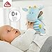 Fehn Spieluhr Baby Einschlafhilfe Drache - Spieluhr mit herausnehmbarem Spielwerk zum Aufhängen - Schlafhilfe Melodie "Schlaf Kindlein schlaf" - Musikspielzeug für Babys & Kinder ab 0+ Monaten