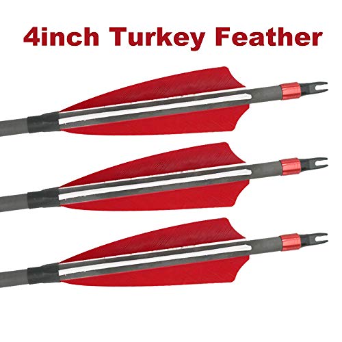 image for Jocoo 12Pack 30-inch Carbon Arrow with 4