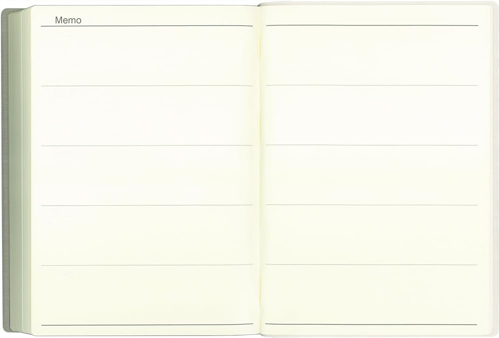Museum Diary 2026 A5 5-Year Diary, Soft Edition, White Gray No