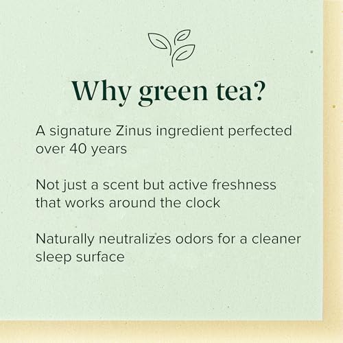Image of Zinus 12 Inch Queen Green Tea Memory Foam Mattress, Medium Firm Feel | Pressure-Relieving Comfort & Full-Body Support, Naturally Fresh, CertiPUR-US & OEKO-TEX Certified Safe Materials