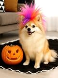 Swooflia Dog Cat Wig - Colorful Mohawk Pet Wigs for Small Large Medium Breed Dogs, Cool Halloween Cosplay Costume Accessories for Weiner Weenie Dachshund Corgi Pug Chihuahua Puppy German Shepherd