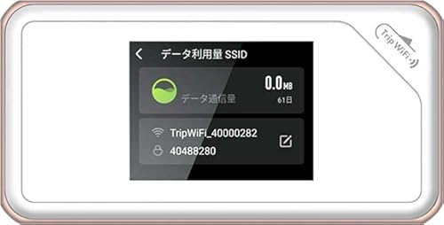 Pocket WiFi Router Rental