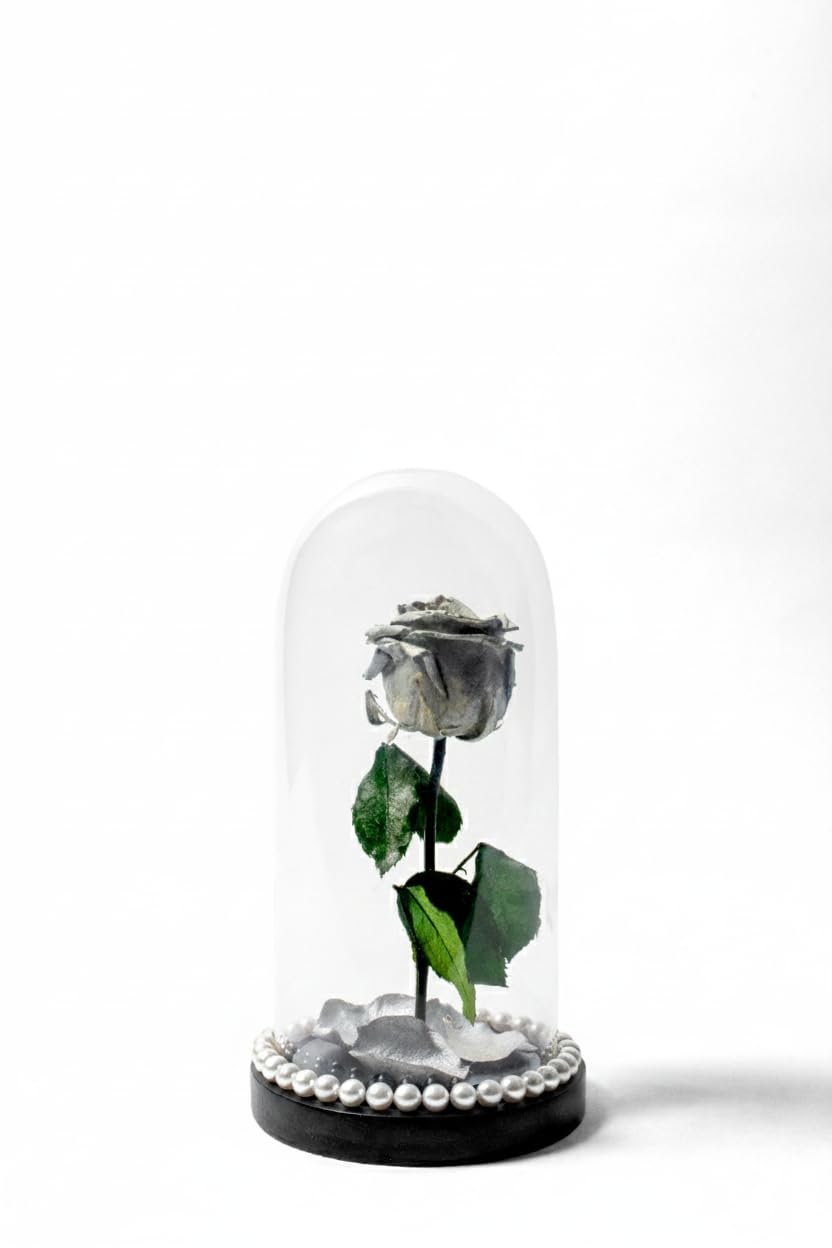 Versailles Preserved Silver Rose in Glass Dome, Silver, Home Decor and Interior Decoration, 430 Grams-image-29