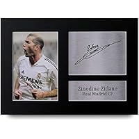 HWC Trading Zinedine Zidane A4 Sin Marco Regalo De Visualización