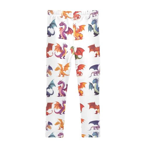 Girls Leggings Magic Dragons Toddler Girls Clothes Leggings for Girls Toddler Girls Leggings 3-4T2