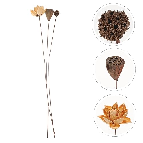 Arreglo Floral Centro de Mesa Flor de Loto Seco miniatura 7