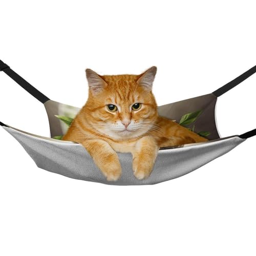 Hamac pour chat suspendre pour en finir avec l'encombrement au sol