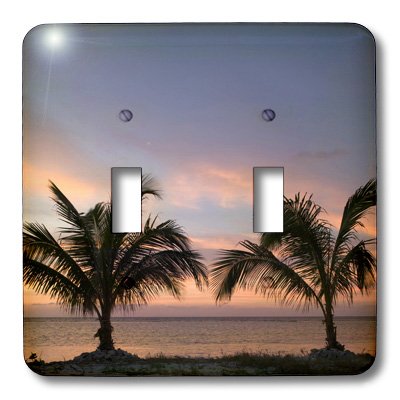 Interrupteur double décoratif pour remplacer une plaque murale unie