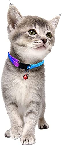 THE DDS STORE Colorful Cat Collar with Bell, Adjustable Rainbow Collars for Cat Kitty Puppy Rabbit Small Animals - ( Pack of 2)