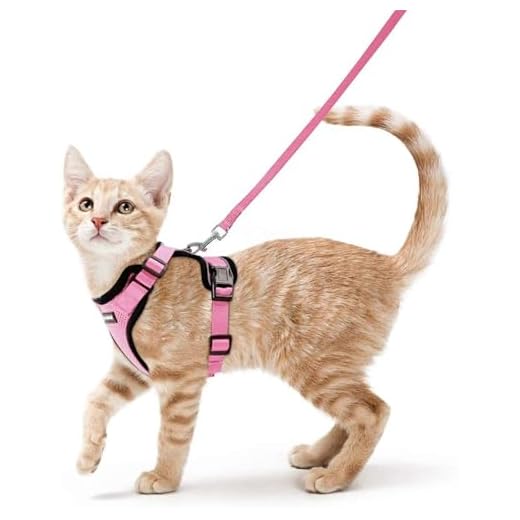 rabbitgoo Cat Harness and Leash for Walking, Escape Proof Soft Adjustable Vest Harnesses for Small Medium Cats, Easy Control Breathable Pet Safety Jacket with Reflective Strips & 1 Metal Leash Ring