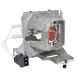 For 220./0.8 E20.9 Lampadina for proiettore for Optoma EH380 EH400 EH400+ W380 W400 W400+ X380 X400 X400+/BL-FP220B(Lamp)