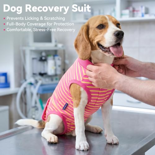 Image of cyeollo Dog Surgery Recovery Suit, Surgical Onesie for Female & Male Dogs | Prevents Licking, Cone Alternative, Ideal After Spay & Neuter, Protects Surgical Wounds, Easy Potty Access, 4-Way Stretch