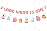 Balterever Owl 1st Birthday Party Decorations for Girls Pink Look Whoo is One Owl Banner Owl Garland Woodland Animals Birthday Party Supplies for 1 Years Old Birthday Party