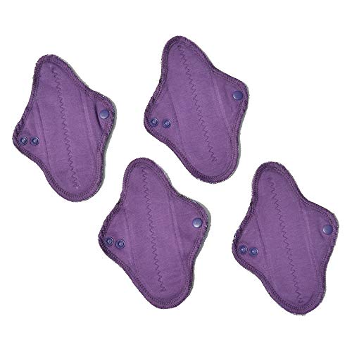 Ecofit Compresas Ecofit Mini 4 Unds 400 g Cover