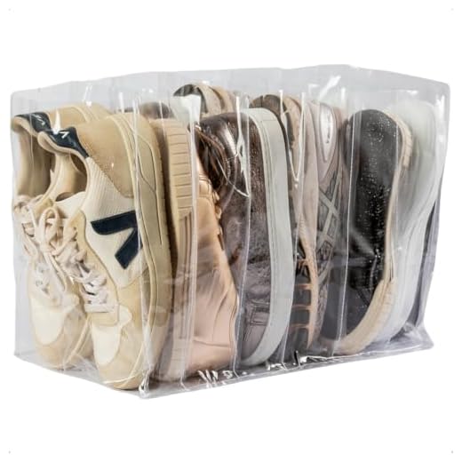 Shopcarehome Organizador de Sapatos PVC Cristal 6 Nichos - 25x40x30