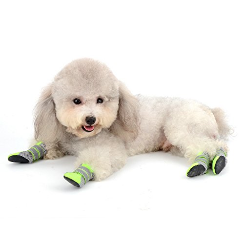 Zunea Stivali Estivi Antiscivolo per Cani Piccola