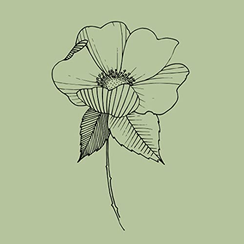 Letter 25: Love is merely a word