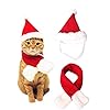 QIMMU Katze Weihnachtsmütze mit Schalldämpfer Hündchen Nikolausmütze Kopfbedeckung Accessoires Weihnachtskostüm Outfits für Haustier Hund Katze Hase 2 Stück