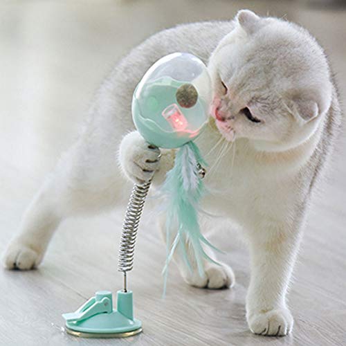 banapoy Brinquedo de mola para gato, casca de ovo transparente de plástico fino acabamento, brinqued