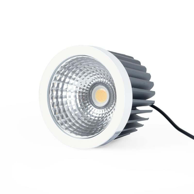 B·LED BARCELONA LED - Módulo LED 30W QR111- CCT - Driver externo - 60° - CRI 90, Sustituye Halógenas – 100 lm/W – Compatible con Aros B1016/K1016