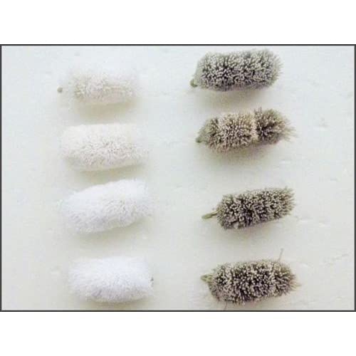 8 Pack of Mullet/Bread Fishing Flies Choice (8/10)