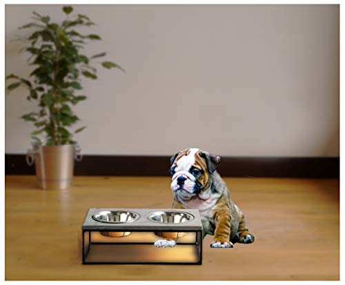 FEEDO Solo | Beton Hundenapf | Design Napf | Hundeaccessoires (S, hellgrau)