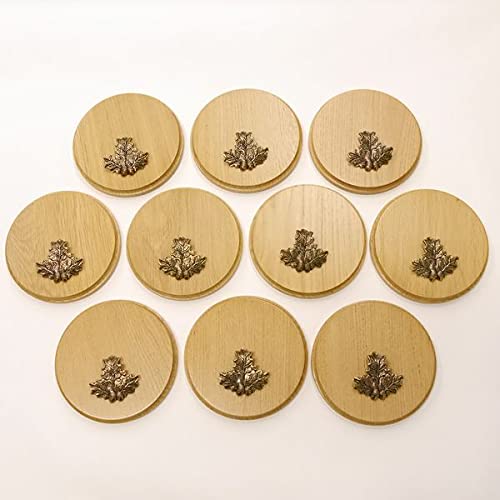 GTK Oferta 10 placas de cuña redondas de roble claro AF 15 cm tabla cuña, tabla de especias, cartel para trofeos con 10 hojas de roble