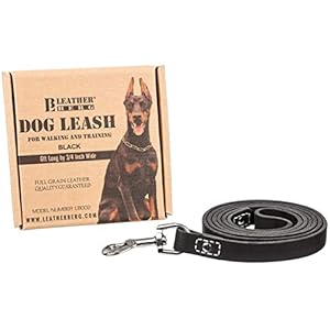   Leather-Dog-Training-Leash-Black-6-Ft-Long-x-34-Wide-Dog-Walking-Leash-Best-for-Medium-Large-Dogs-Latigo-Leather-Dog-Lead-Puppy-Trainer-Leash