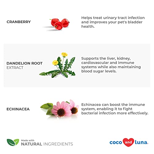 Cranberry For Dogs And Cats - Urinary Tract Support, Cat Uti, Bladder Support, Dog Uti, Bladder Stones And Incontinence Support #TOP2